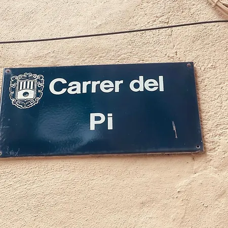 Daire Pedra Seca Camprodon